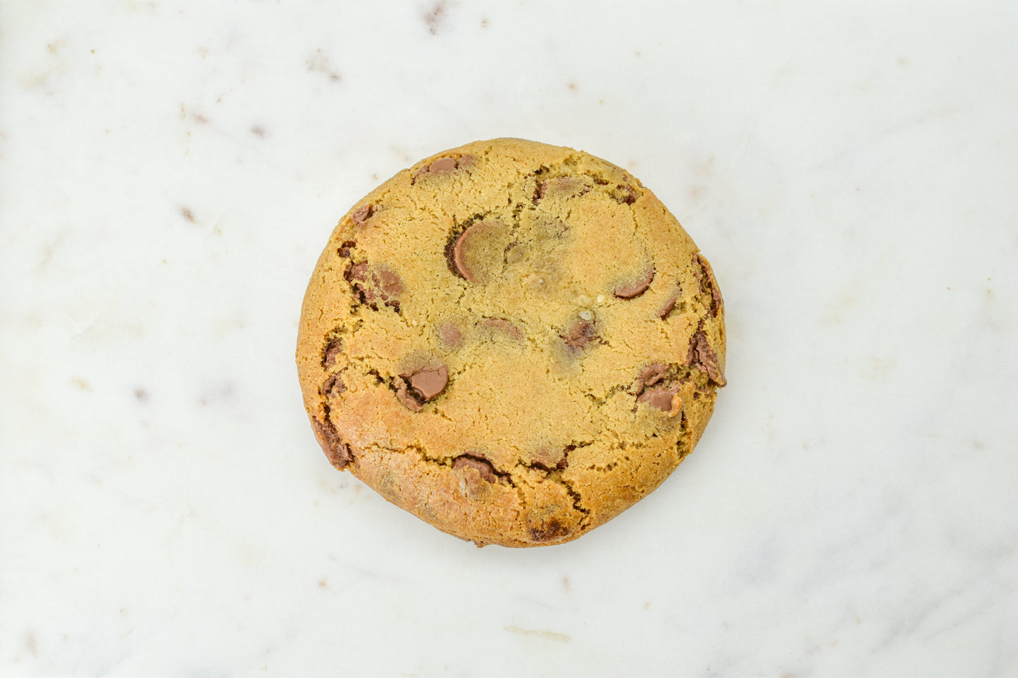 Milk Chocolate Chip Cookie
