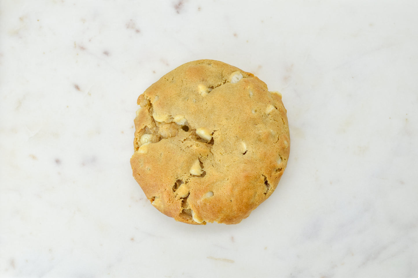 Vegan Macadamia and White Chocolate Chip Cookie